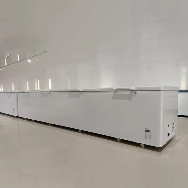 2688 Large Single-Temperature  - Commercial Chest Freezer review and price