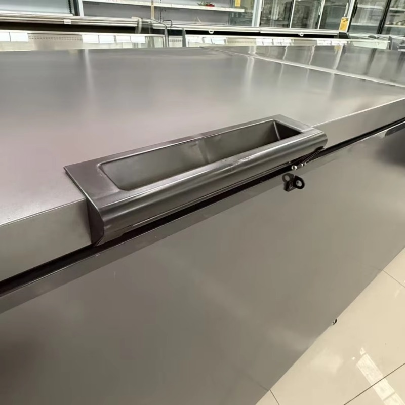 Commercial Double Door Horizon - Commercial Chest Freezer review and price